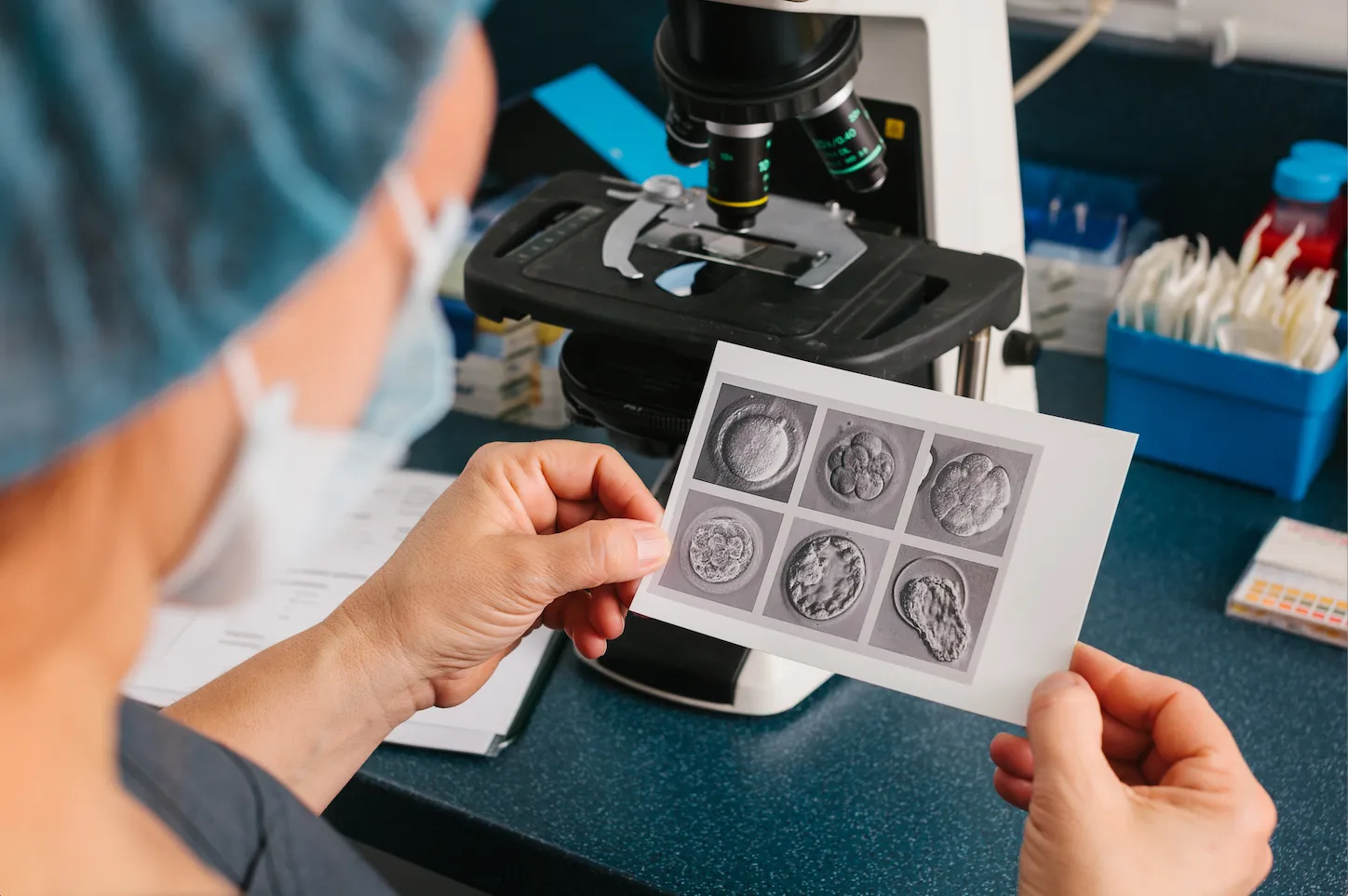 Should I transfer a fresh or frozen embryo?