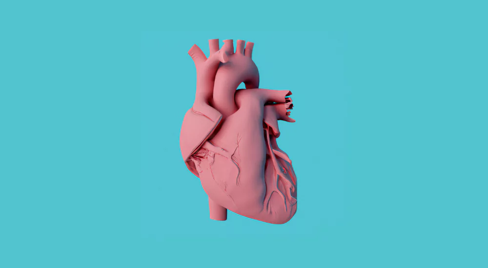 The ultimate guide to heart disease 