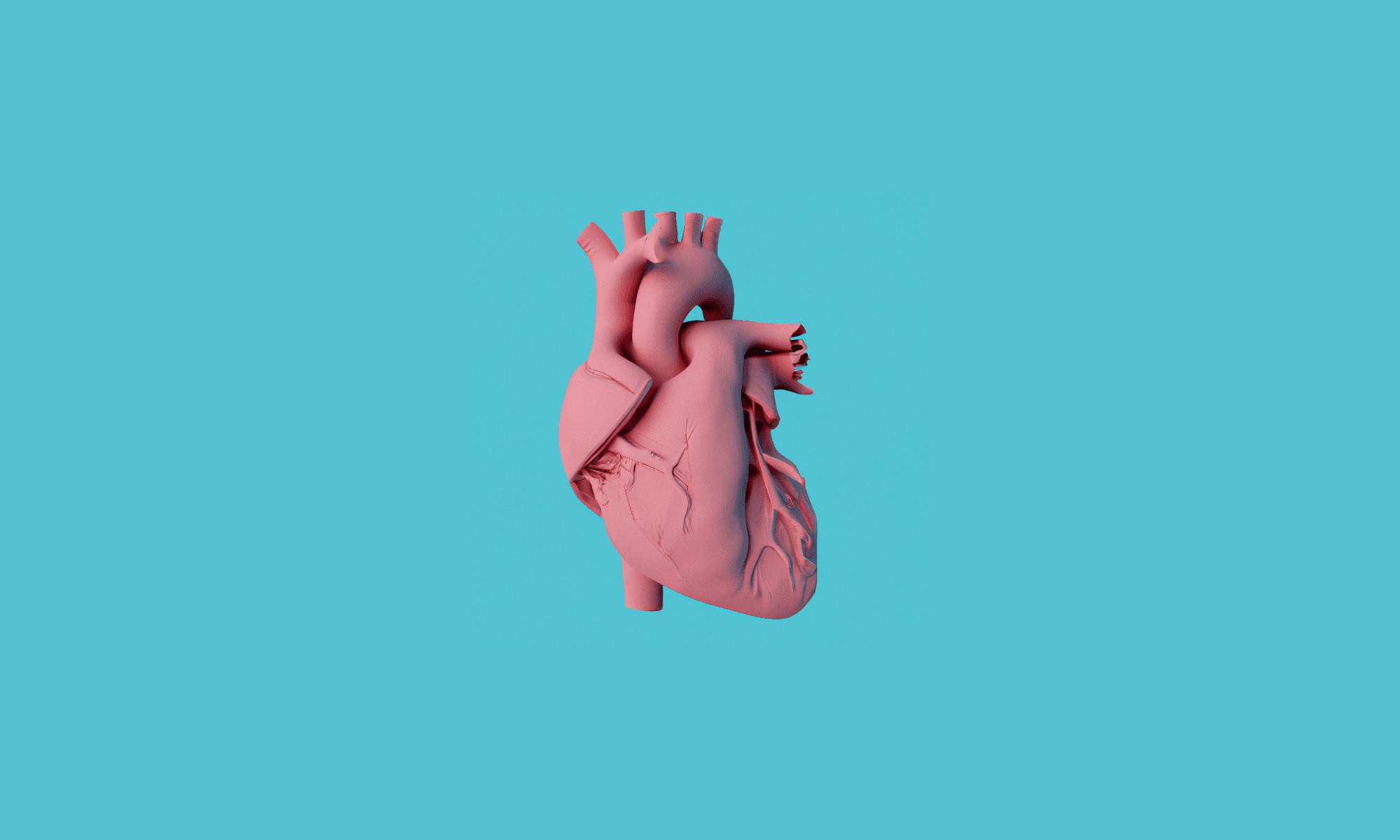 The ultimate guide to heart disease 
