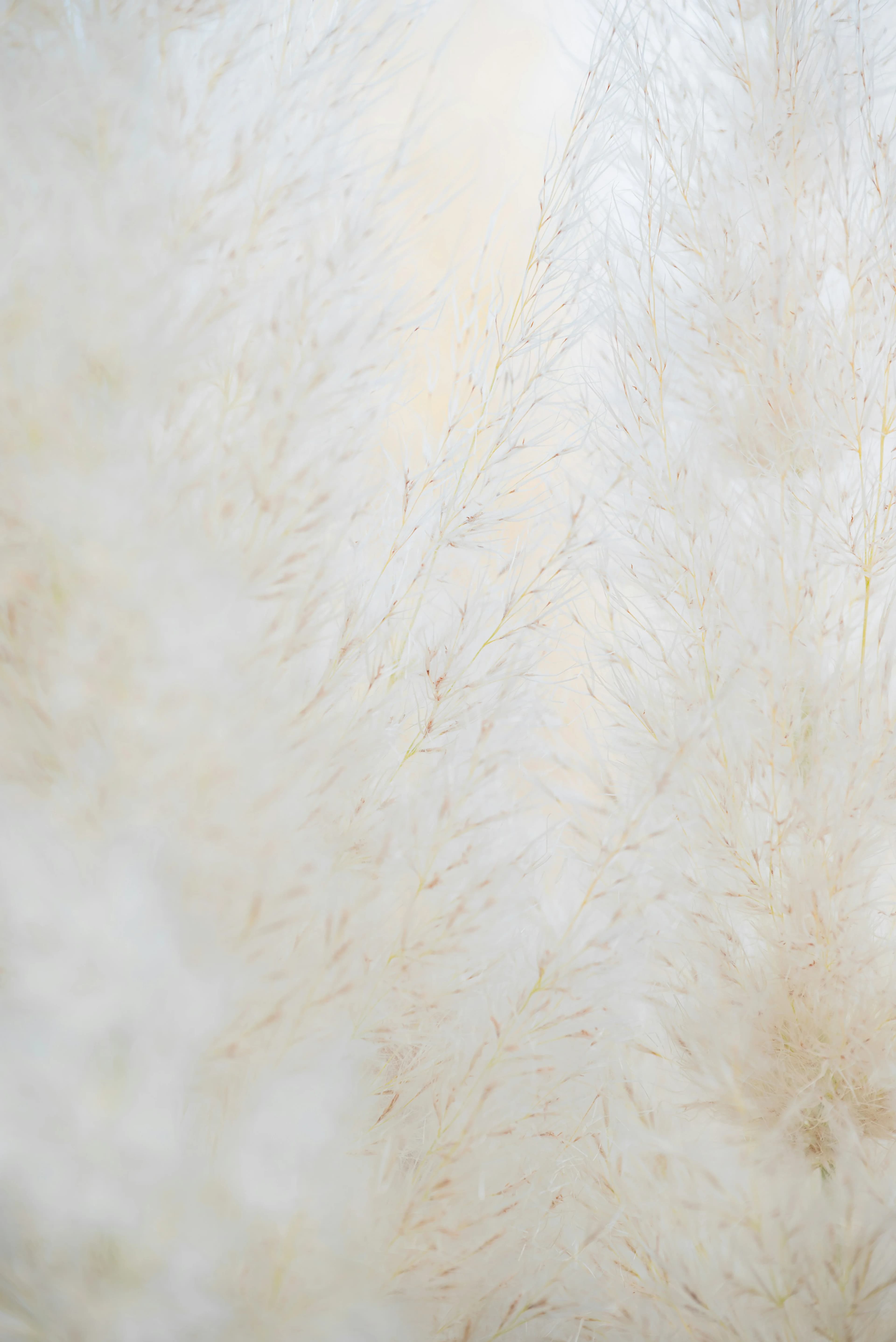 Is Cervical Cancer Hereditary?