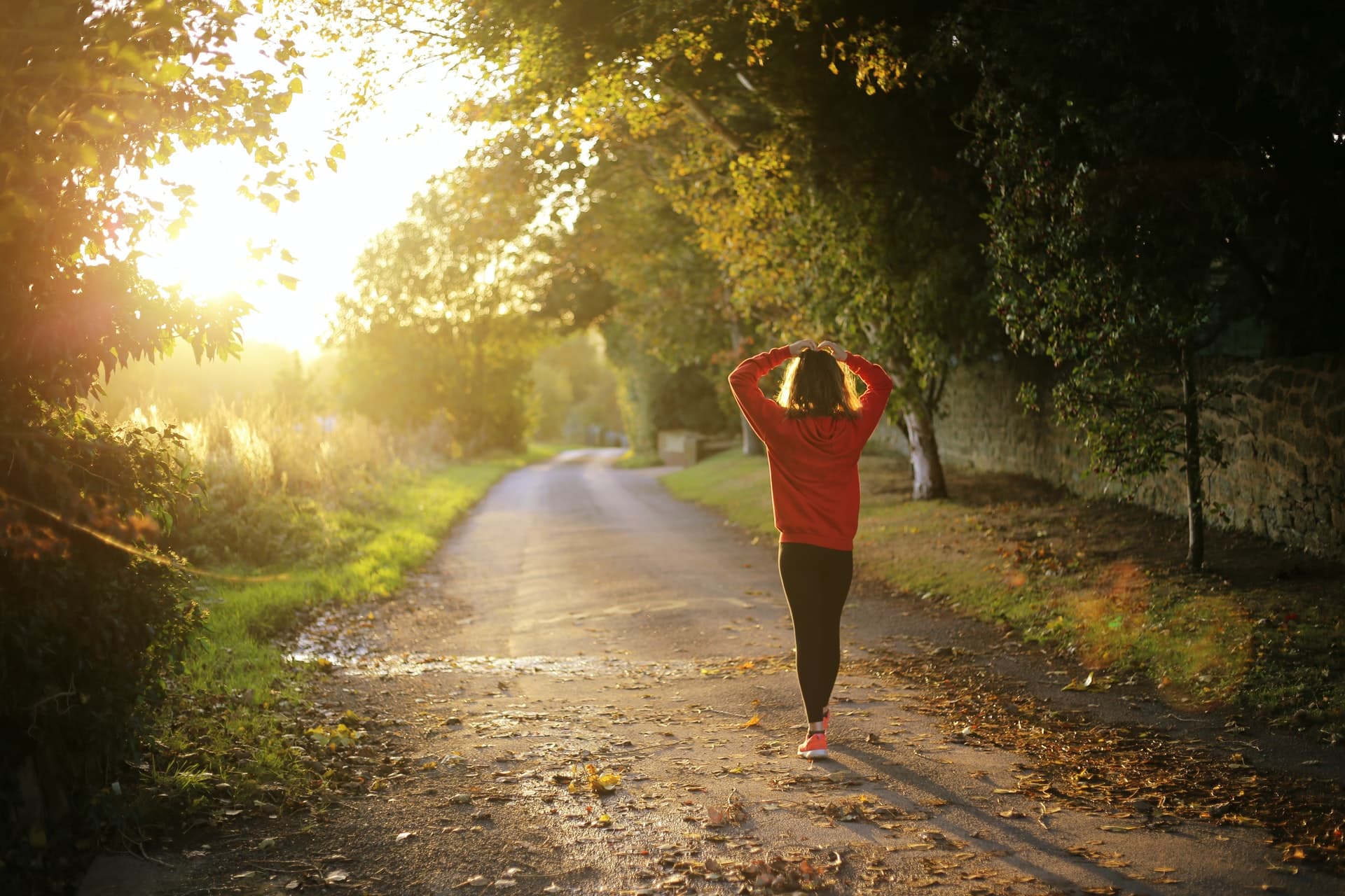 How does Orchid fit into your health optimization journey?