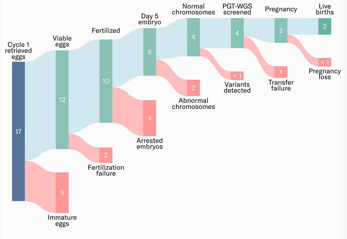 All about embryo banking: a tool to help families plan