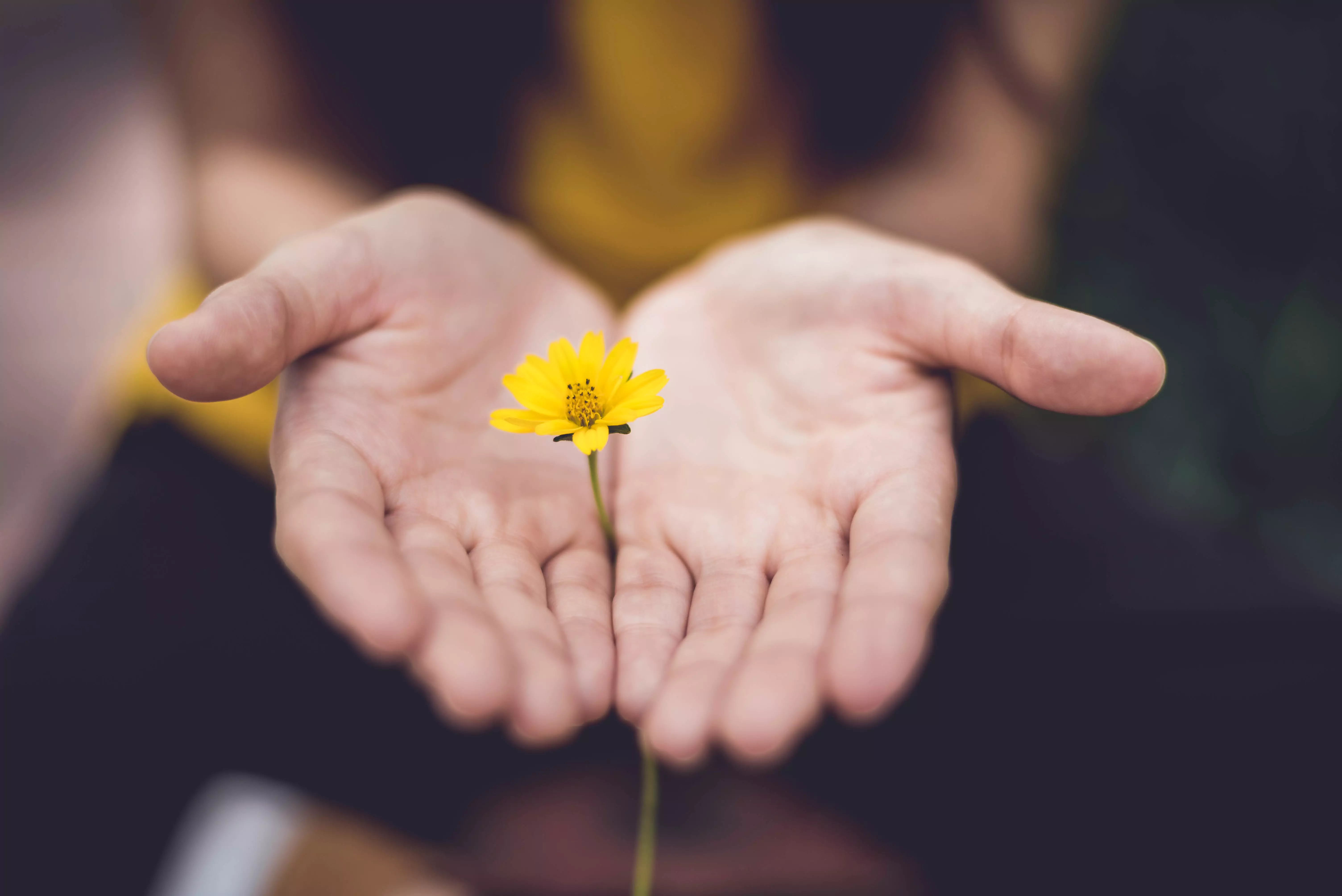 Link between hypothyroidism and hyperthyroidism with infertility