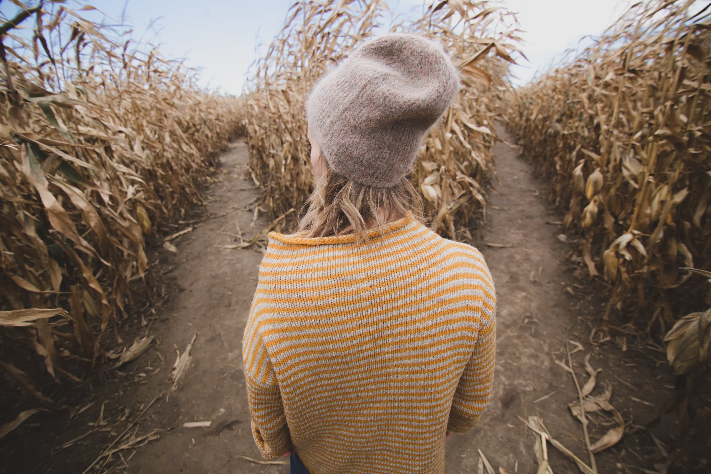 Choosing to do an IUI vs. IVF