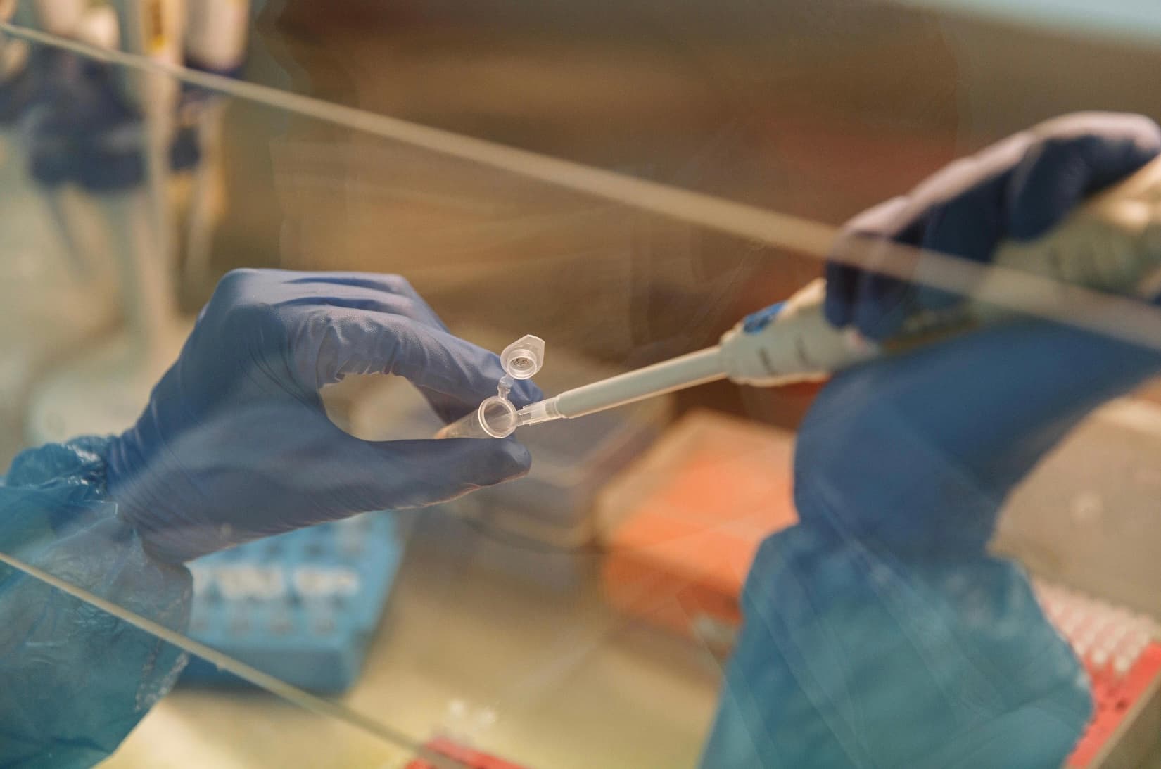 Your Guide to Genetic Testing for Embryos