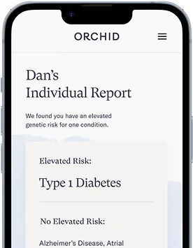 Individual Report Sample 2